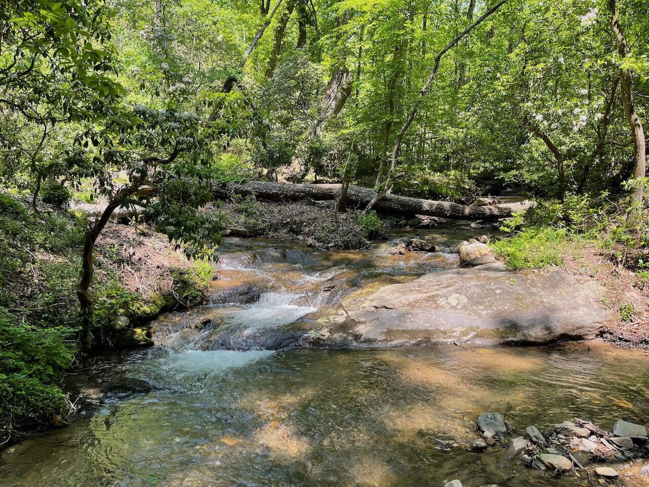 Confluence Point today.